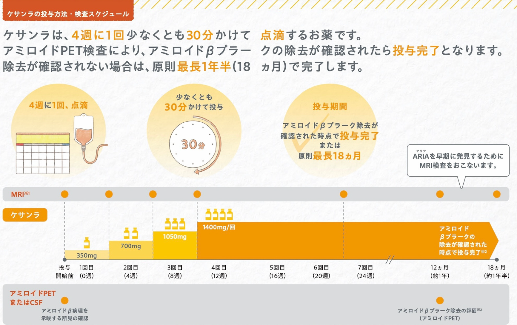 ケサンラの投与方法・検査スケジュール